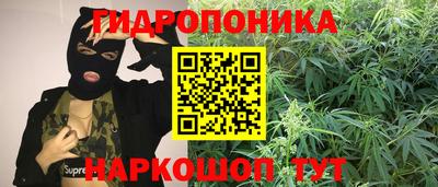 тгк Ставрополь