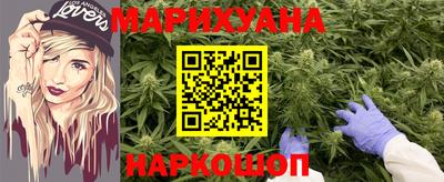 тгк Ставрополь