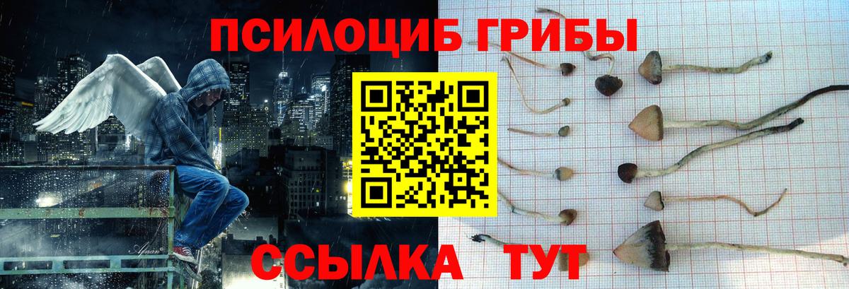 Галлюциногенные грибы Cubensis Муром