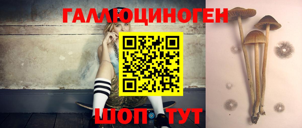 цена наркотик  Псилоцибиновые грибы прущие грибы  Вход с VPN  Муром 